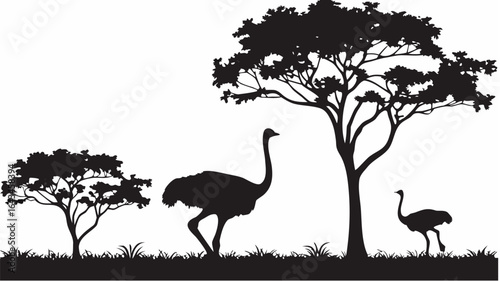 Silhouette of ostriches standing near trees in a landscape with grass and a clear white background scene |  editable eps vectors