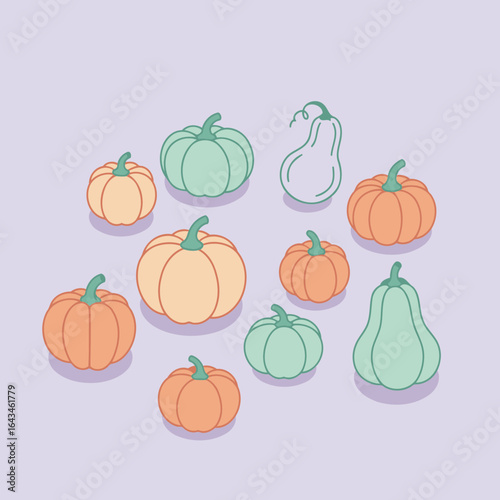 Colorful pumpkin and squash collection in pastel hues with various shapes and sizes. Display of gourds in an abstract, circular composition on a pale lavender background.