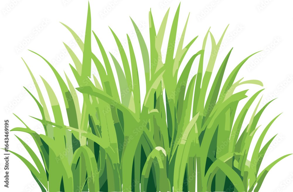 Obraz premium Mato grama