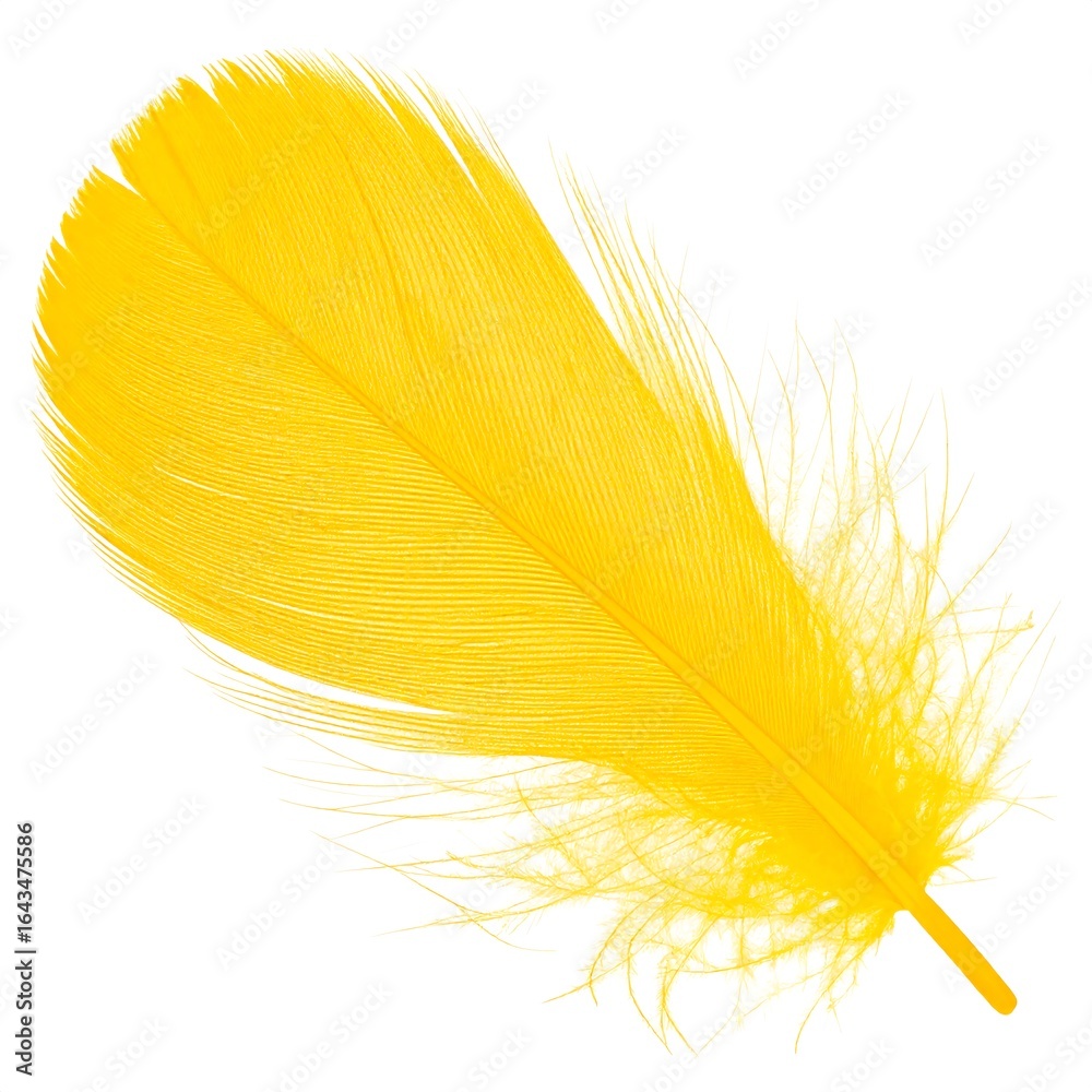 Fototapeta premium Bright yellow feather (2)