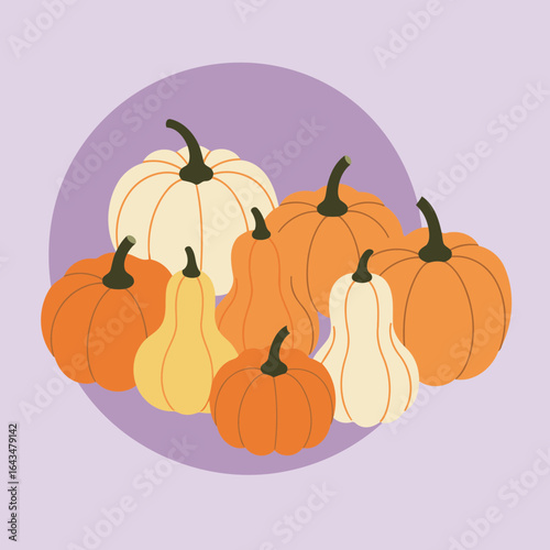 Colorful assortment of pumpkins and gourds in various sizes and colors displayed in a flat lay style against a soft purple background.