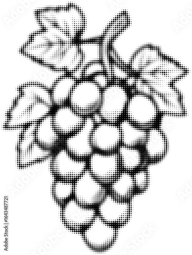 Halftone illustration of grape bunch in black and white style, retro design