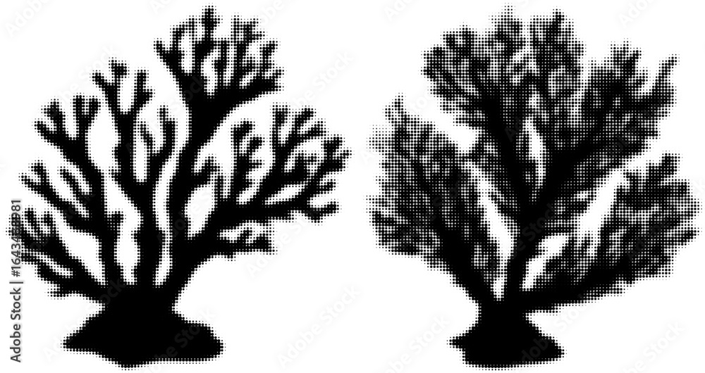 Fototapeta premium Black silhouettes of two coral branches, grayscale effect