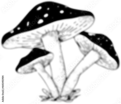 Halftone illustration of three spotted mushrooms in black and white