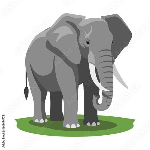 Flat Cartoon Elephant Illustration