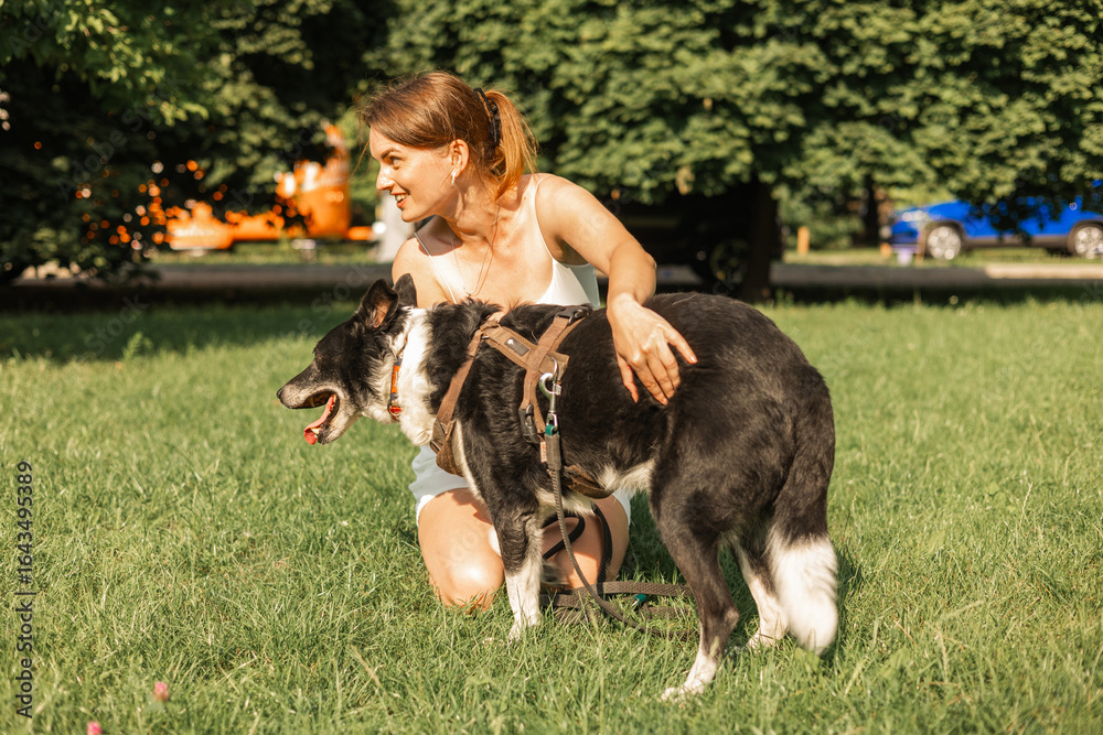 Obraz premium Happy woman with dog in nature on sunny summer day. Cute dog giving paw to his pet owner.