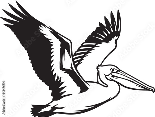 Black and White Pelican Vector Illustration