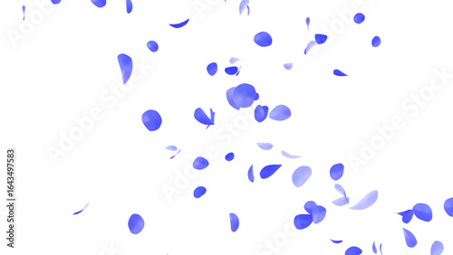 青いバラの花びらの乱舞：背景透過