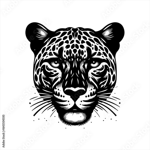 Intense black and white jaguar portrait with intricate patterns