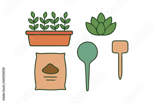 Gardening tools and succulents arranged with a planting tray and soil in bright colors for a vibrant gardening setup