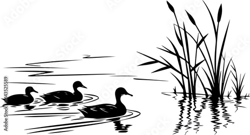 Ducks Swimming in a Pond with Reeds