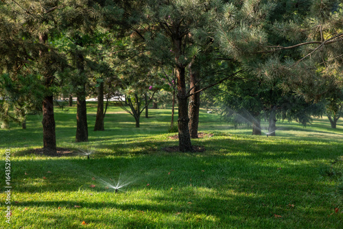 Wallpaper Mural Automatic watering system for the lawn. Sprinkler smart irrigation garden system Torontodigital.ca