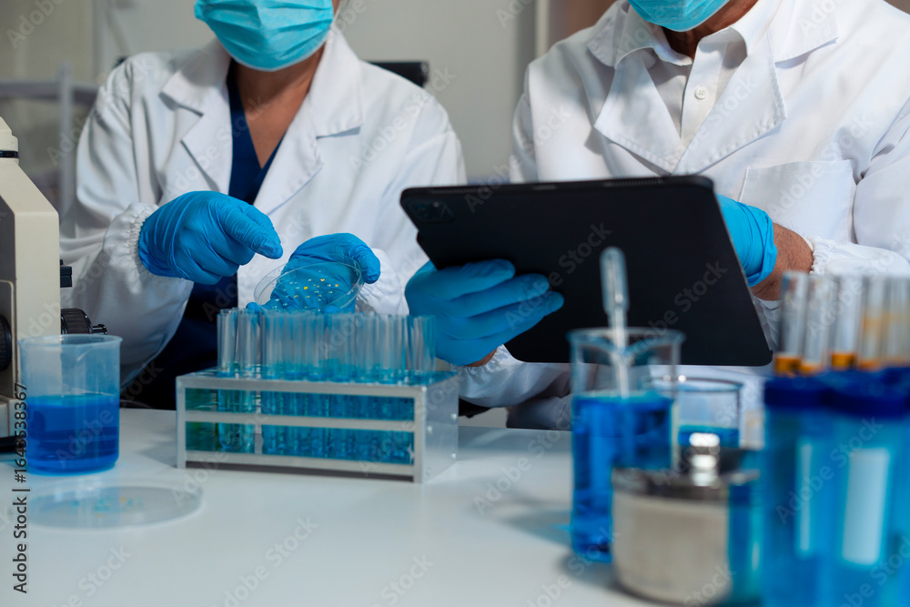 Fototapeta premium Medical or research scientist or doctor using looking at a test tube of clear solution in a lab or laboratory.