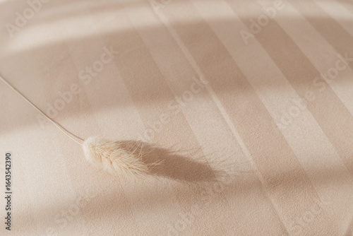 Beige striped bedding with dried grass in sunlight