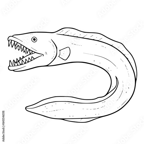 Deep Sea Eel Illustration with Large Teeth in Black and White Outline Vector