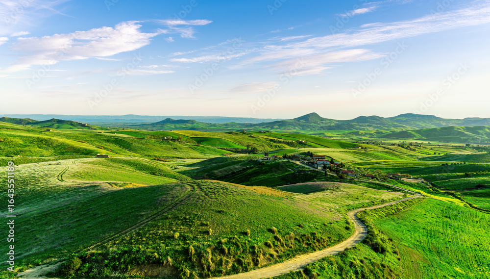 Fototapeta premium green flowering spring hills in countryside valley with rustic village road among blossoming grasslands leading far away to a sunset landscape in summer season