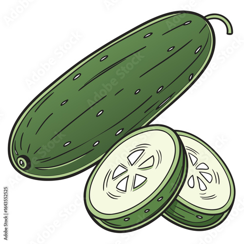 Illustration of a whole cucumber and two cucumber slices on white background
