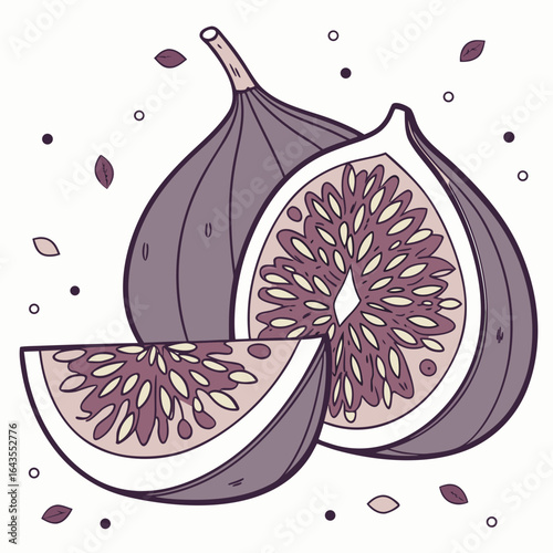 Hand drawn illustration of fresh fig fruit sliced with seeds pattern