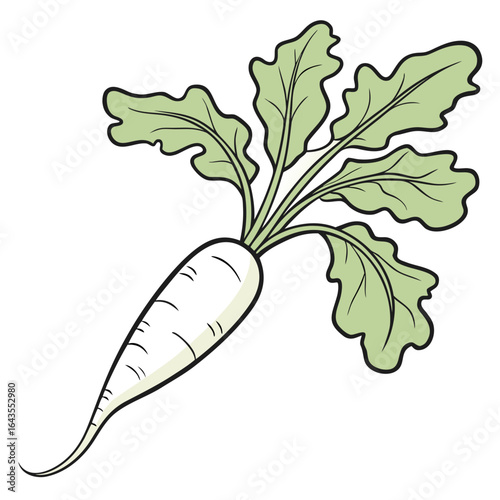 Illustration of a daikon radish with its leaves, in a simple style