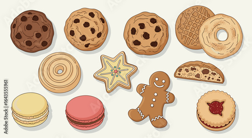 An assortment of cookies including chocolate chip, gingerbread, and macarons on a white background
