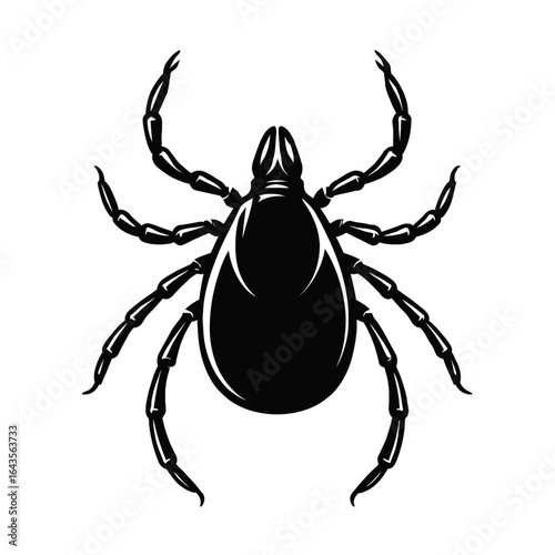 Vintage Black and White Tick Vector - A Parasitic Insect Illustration