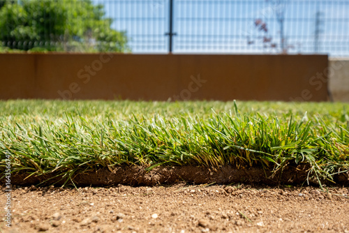 Sod Installation with Fresh Green Grass and Soil