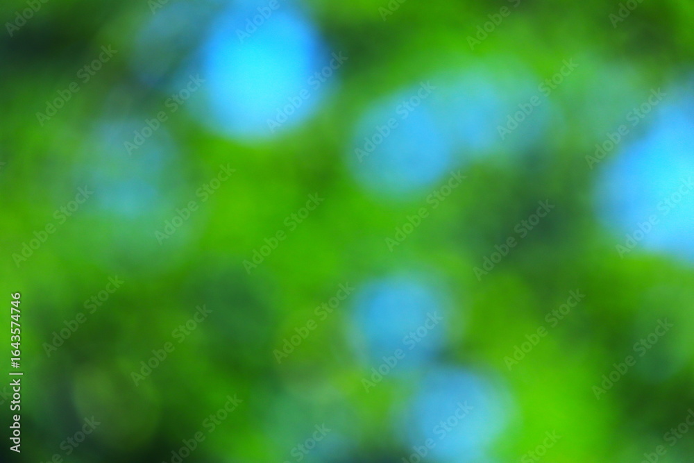 Obraz premium 深緑と青空をぼかした背景素材 