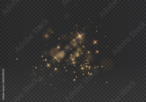 Sparkle, PNG, bokeh, glitter, dust, vector light splash with festive spray. Christmas sparkle PNG on transparent background. Glam Overlay for party, confetti, or isolated star effect design.