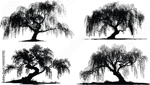 Weeping Willow Silhouettes, Four EPS