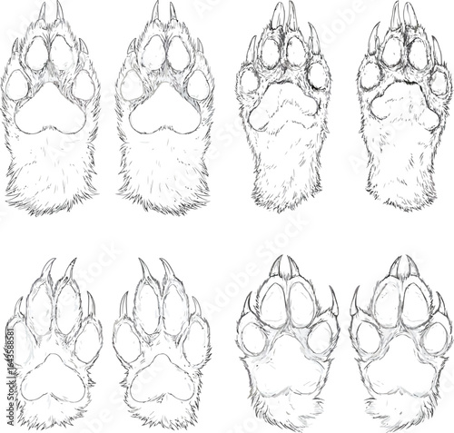 Furry paws, clawed, animalistic EPS