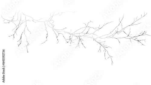 Intricate network of traced bare branches or root system. Abstract organic growth vector illustration on a white background.