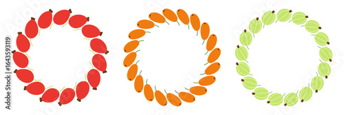 Set of three round berry wreaths made of rosehip, sea buckthorn, and gooseberry, minimalistic botanical design on white background.