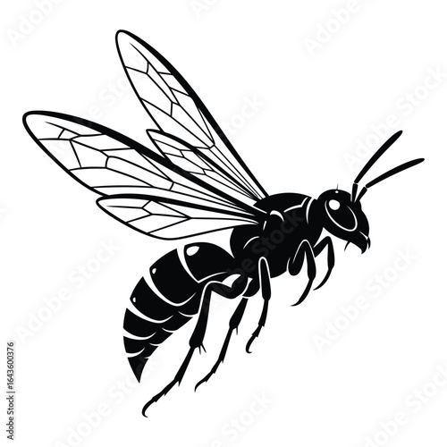 Detailed black and white illustration of a flying wasp