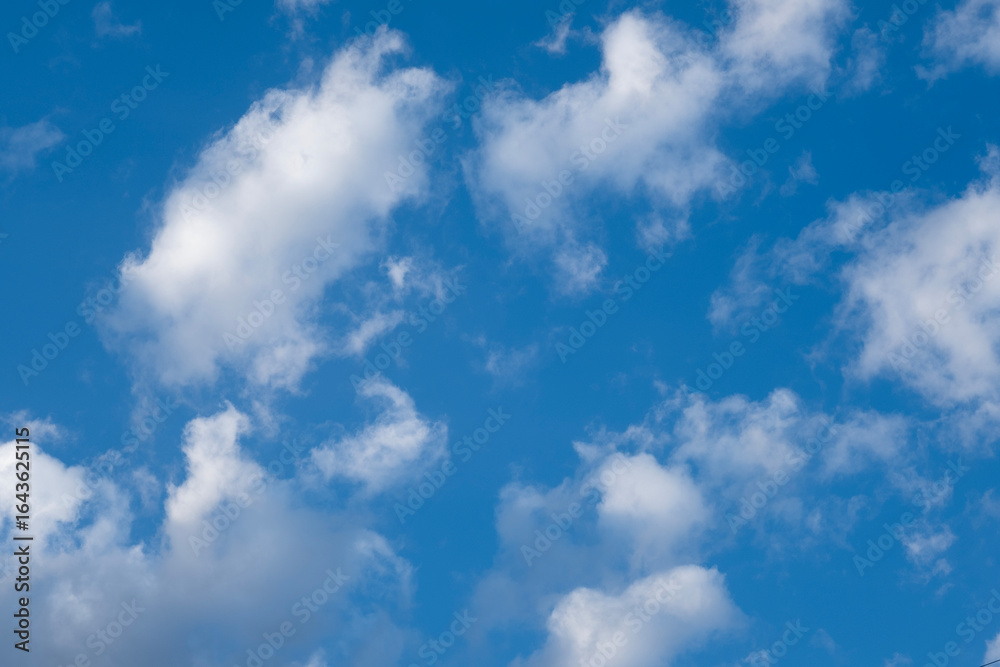 Naklejka premium 青い空とちぎれ雲