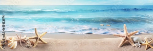 seashell background on the shore