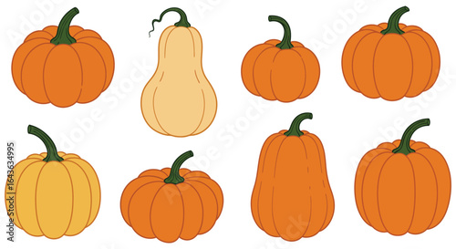 Collection of various pumpkins and butternut squash illustrations