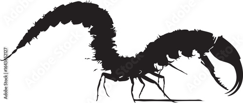 Sketch of a camel and a hairy caterpillar isolated on white