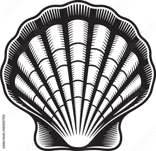 Black and white graphic illustration of a seashell