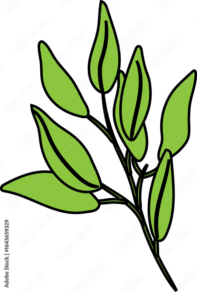 Obraz premium branch with leaves