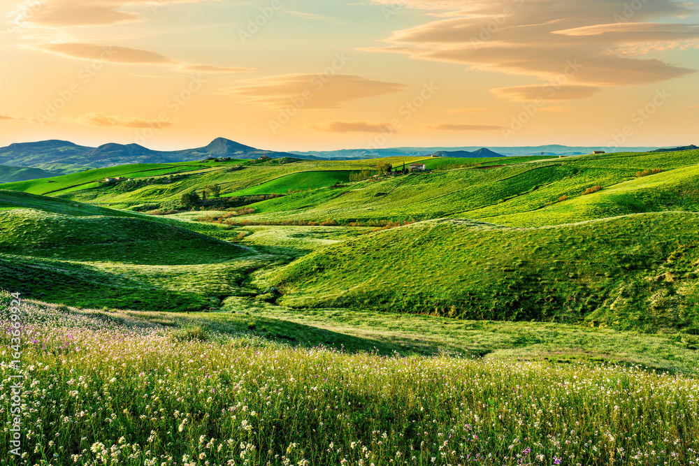 Fototapeta premium beautiful green evening meadow with bloom flowering field during amazing spring sunset among hills and farms with beautiful mountains with evening sky on baclground