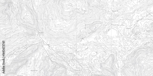 Detailed grayscale topographic map, showing elevation contours and geographic features
