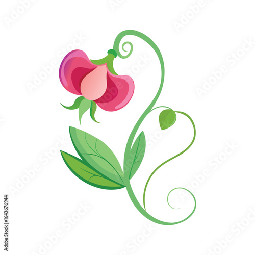 Delicate watercolor illustration of a vibrant pink sweet pea flower with green leaves