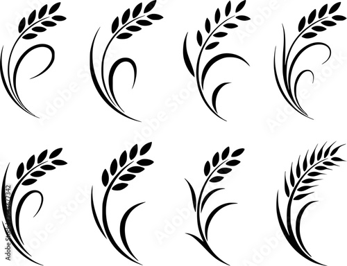 Elegant wheat stalks with swirling leaves grain agriculture