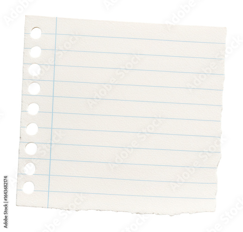 Ripped rectangle of lined loose leaf notebook paper on.