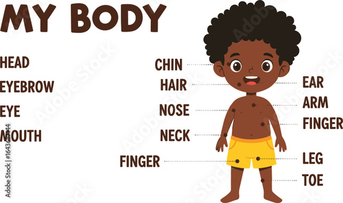 My body parts chart for kids, educational anatomy poster, labeled child illustration, preschool learning aid, human body diagram