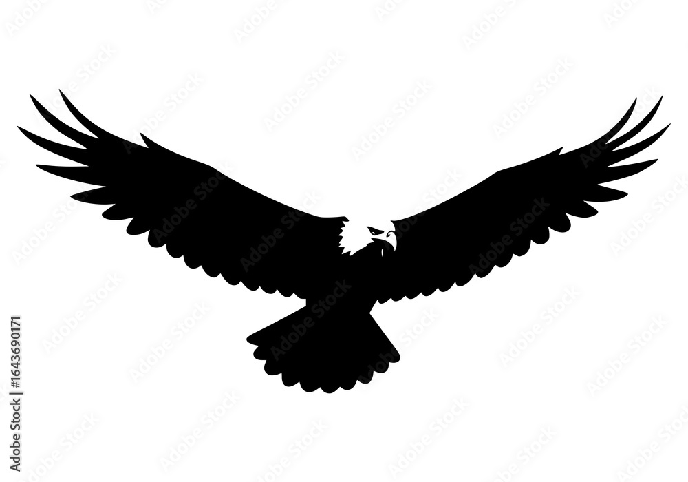 Naklejka premium eagle heads illustration in black and white color