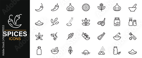 Vector Icons Featuring Popular Spices, Seasonings, and Cooking Ingredients