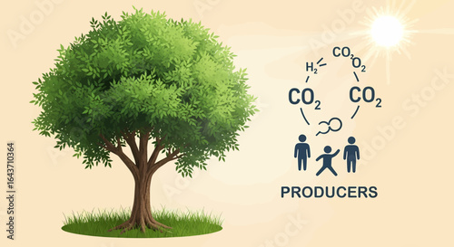 Conceptual graphic of the ecological carbon cycle, illustrating a tree producing oxygen and absorbing carbon dioxide for a healthy ecosystem