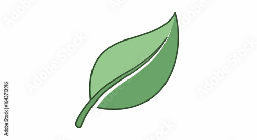 Centered Simple Green Cartoon Leaf Illustration Viewed from Front on White Background