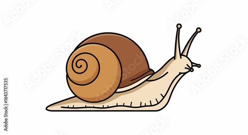 Cute cartoon snail illustration with a brown spiral shell, isolated on a white background. Simple vector drawing of a garden mollusk crawling slowly.